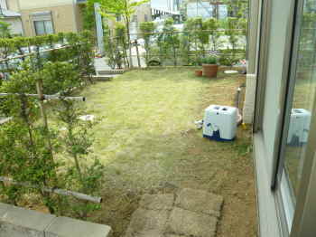 ガーデン施工前、芝生敷きのみの状態