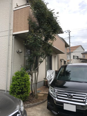 施工前の車庫と庭の花壇